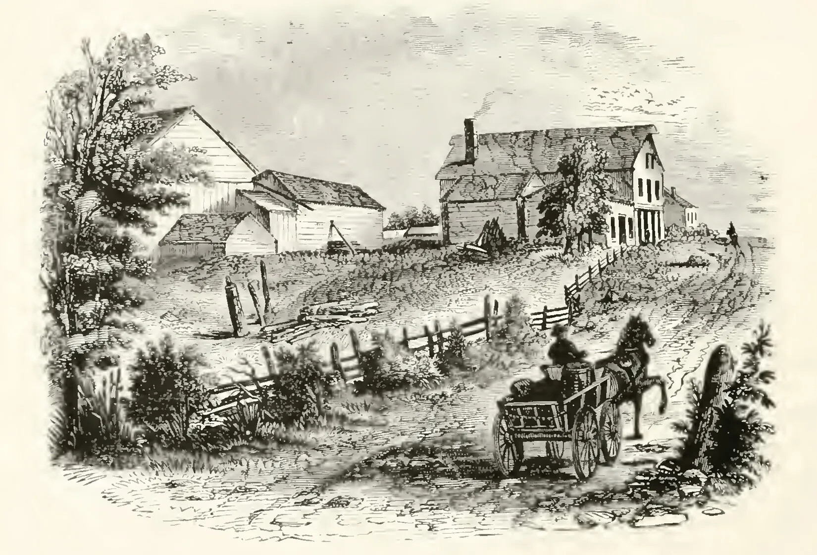 A black and white drawing of a horse-drawn wagon driving up a dirt road with a slight incline to a multi-storied house and several farm buildings. The wagon has various bundles in it and the horse is directed by a person sitting at the front of the wagon. To the left of the road is a fenced-in piece of land, scattered with grass and trees.