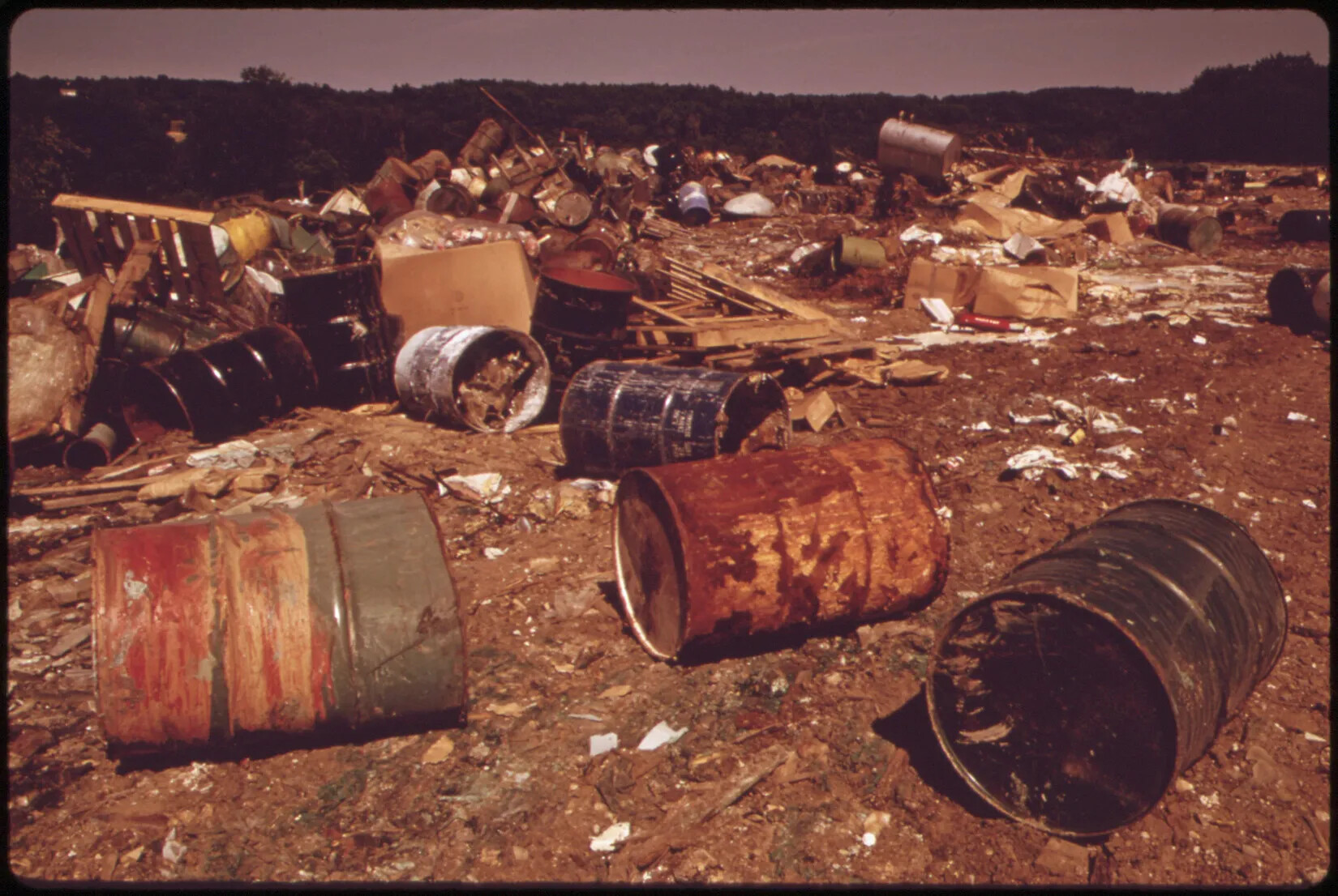 A colored drawing of a field covered in garbage and large empty barrels.