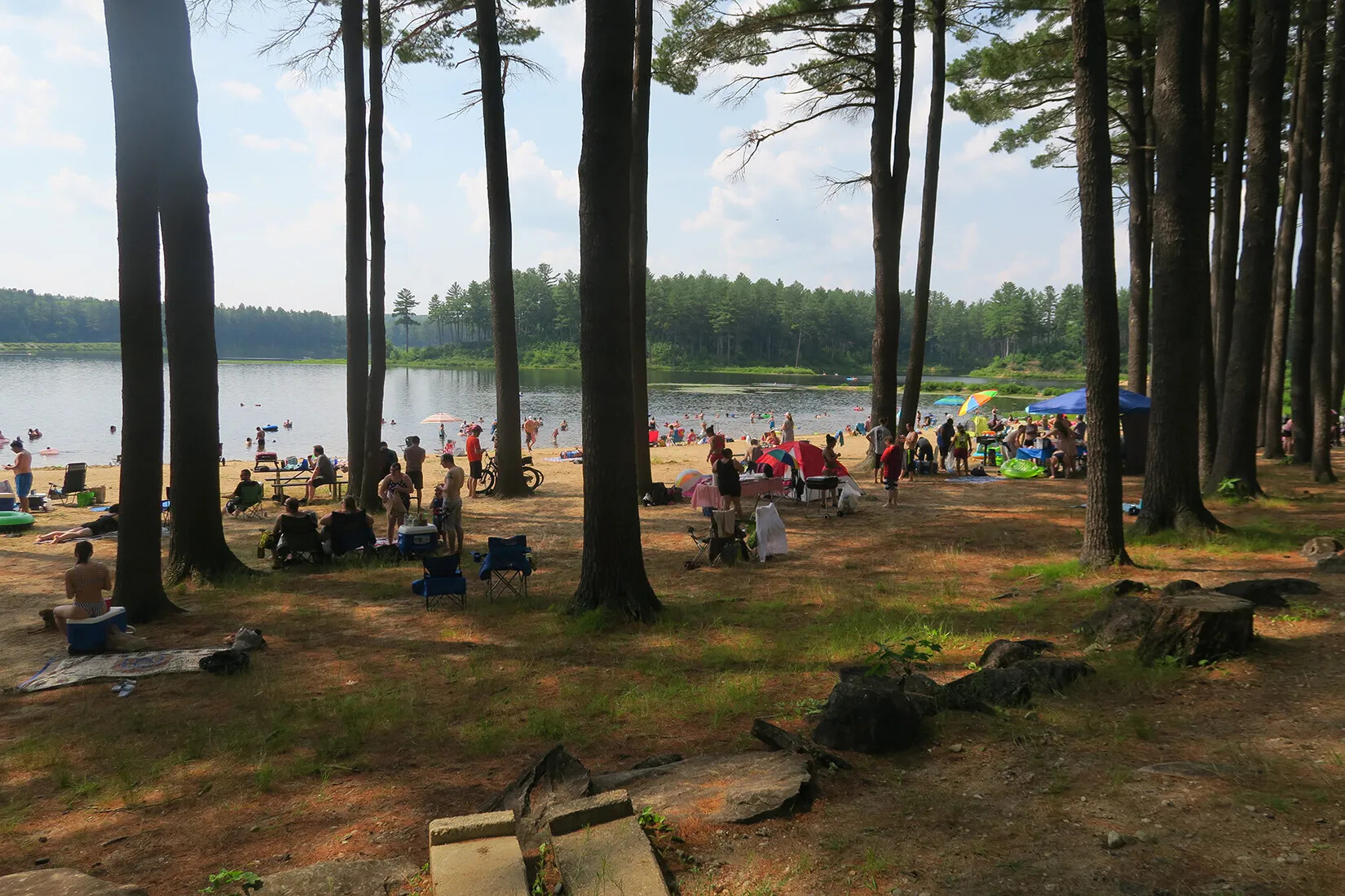 A colored photograph of people gathered in groups on a sandy piece of land, surrounded by pine trees. The sandy land faces a large body of water.