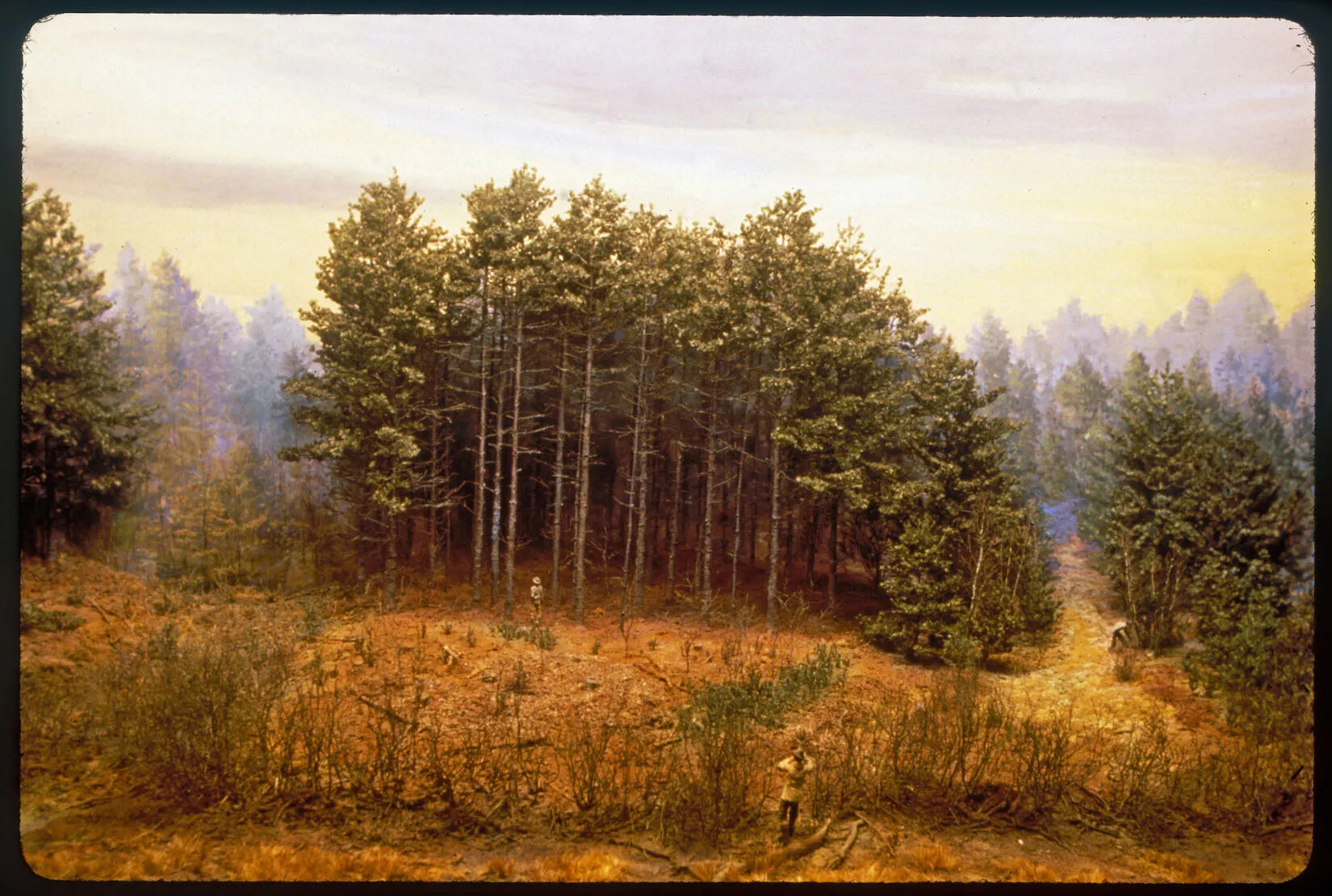 A colored painting of a forested field, with trees of varying heights. The trees have skinny trunks and green leaves. Three people are scattered around the field.