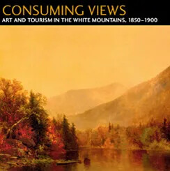 Book cover of 'Consuming Views''.