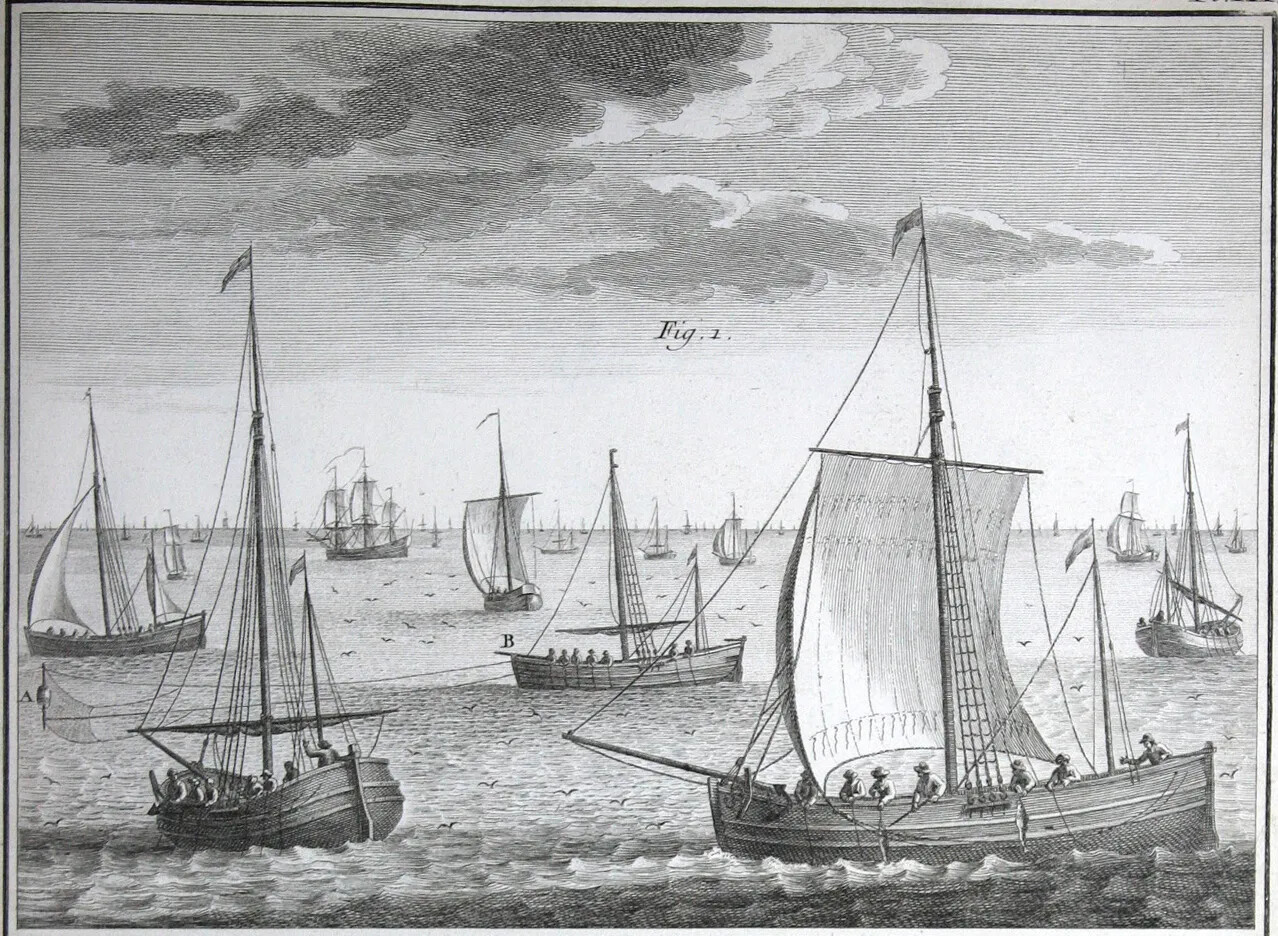 A black and white drawing of several single-masted boats on a body of water. People on the boats hold fishing rods over the water, or pull up fish caught on their fishing lines.