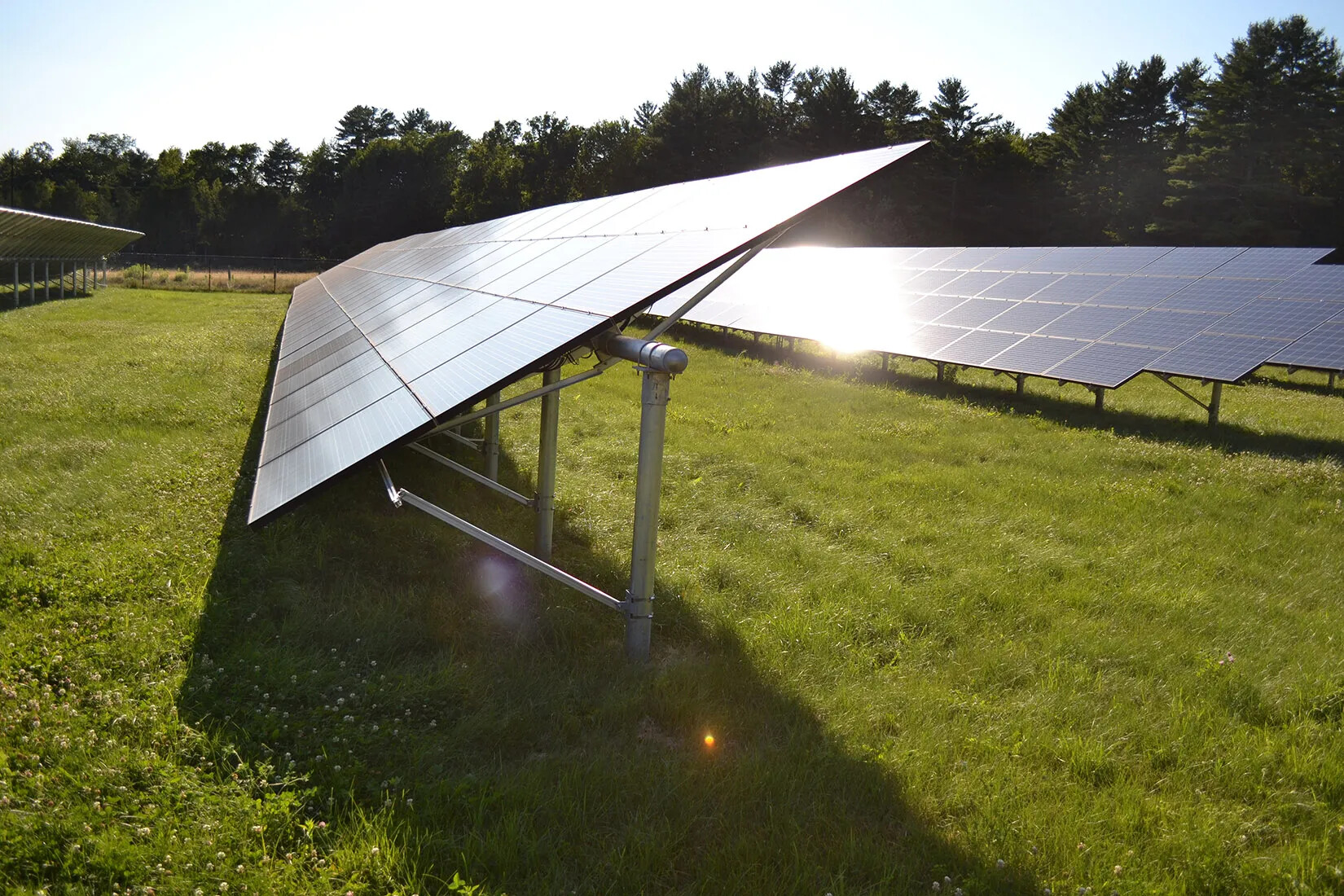 A colored photograph of rows of solar panels in a grassy field surrounded by trees.