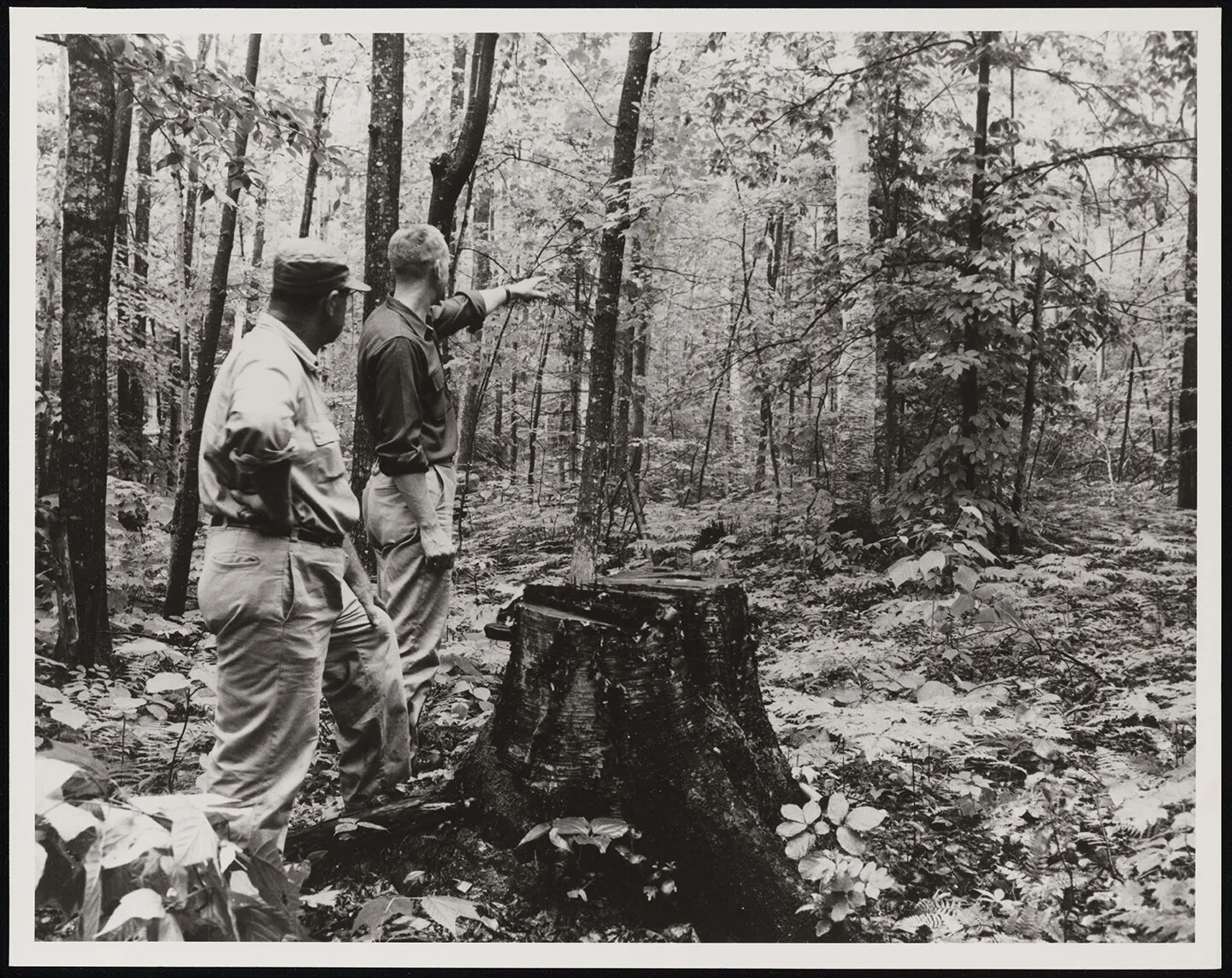 A black and white photograph of two men standing in a forest with their backs to the viewer. One of the men points off into the distance.