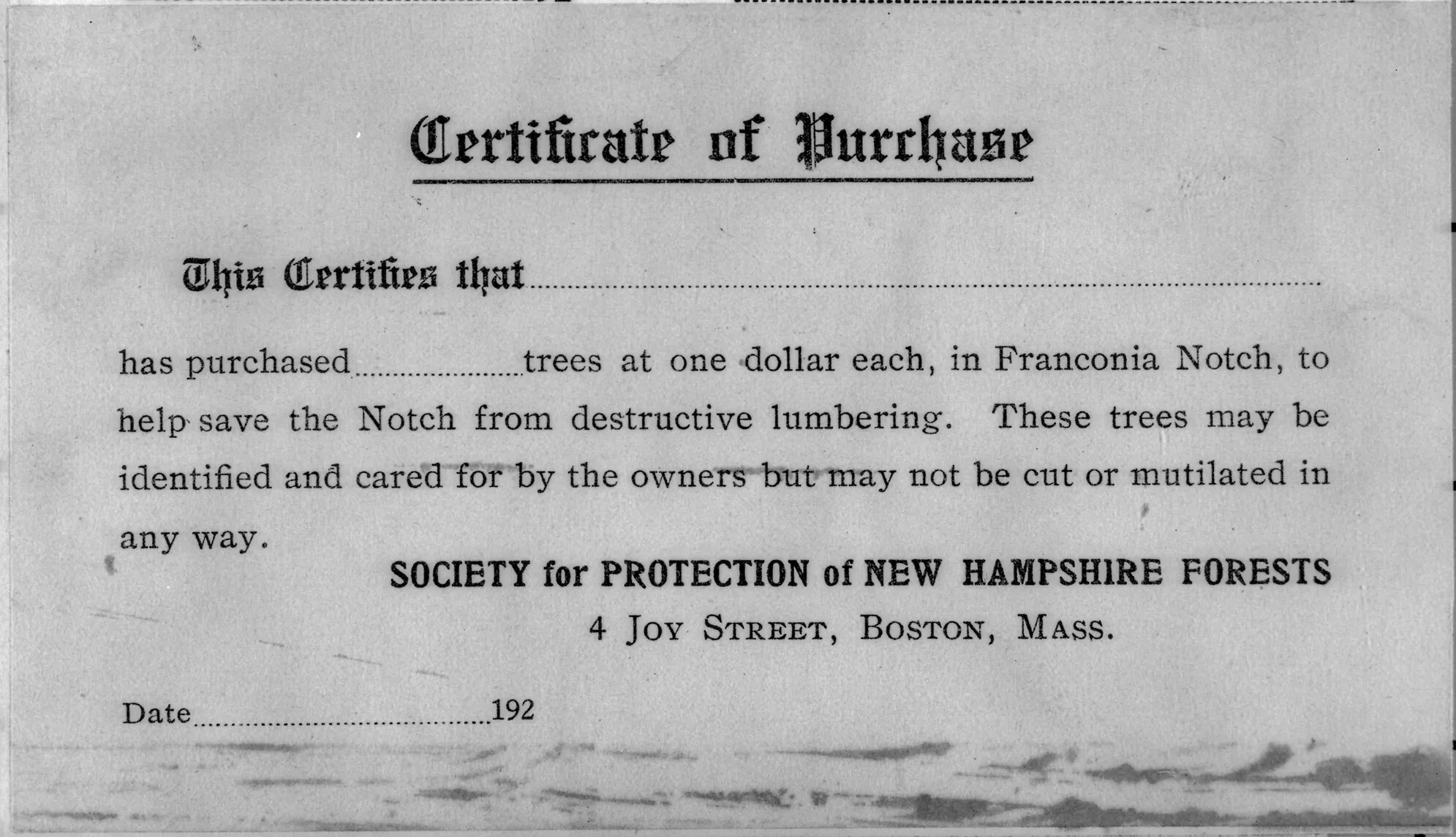 A black and white piece of paper reads "Certificate of Purchase / This Certifies that ………………………. has purchased …….. trees at one dollar each, in Franconia Notch, to help save the Notch from destructive lumbering. These trees may be identified and cared for by the owners but may not be cut or mutilated in any way. SOCIETY for PROTECTION of NEW HAMPSHIRE FORESTS." It then gives the address in Boston, and space for the date.     