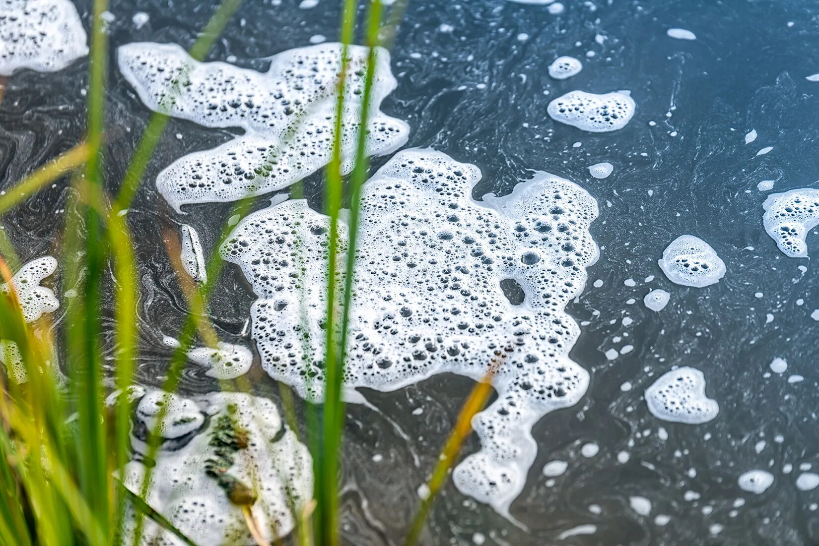 A colored photograph of foamy bubbles floating on a body of water.