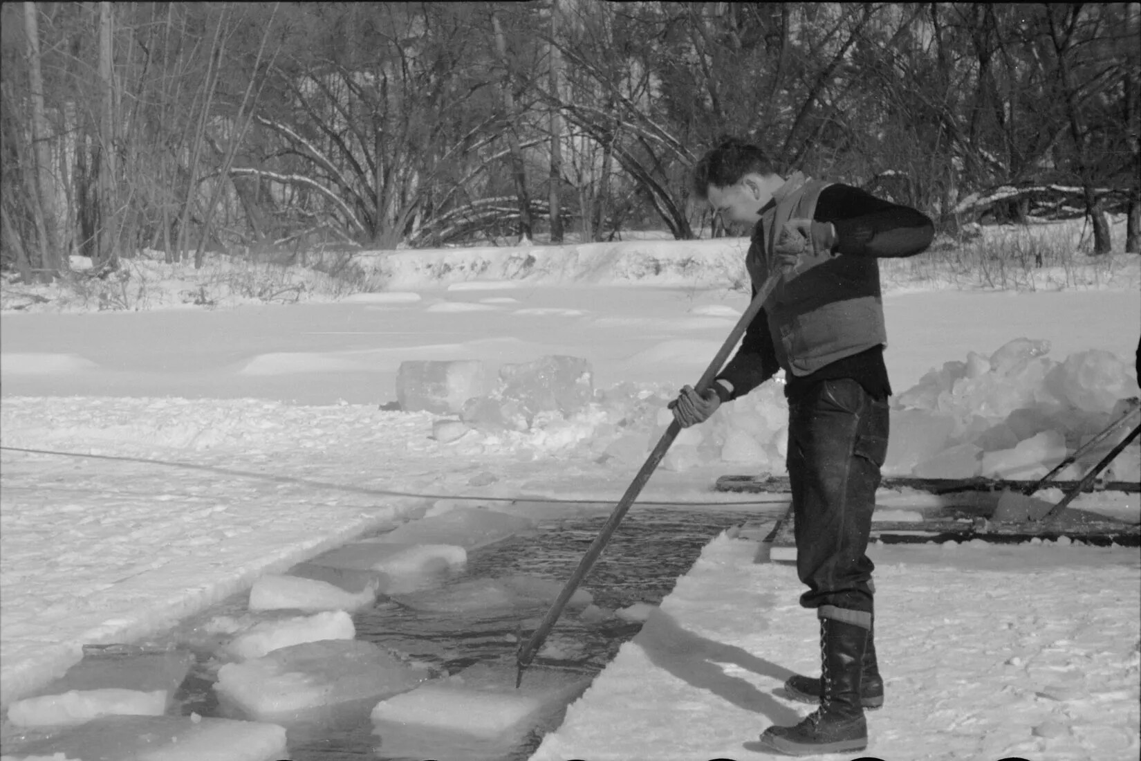A black and white photograph of a man standing on a frozen body of water, dragging pieces of cut ice through the exposed water.