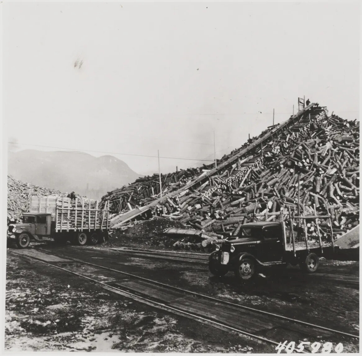A black and white drawing of a large pile of logs. Two pick-up trucks sit in front of the log pile.