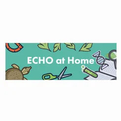 Echo at home
